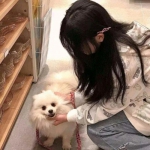 大话西游热血版果盘手游下载